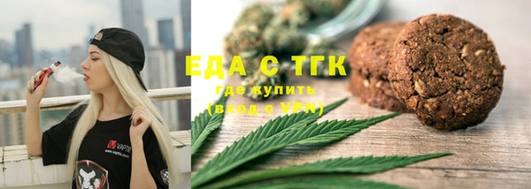 индика Инсар