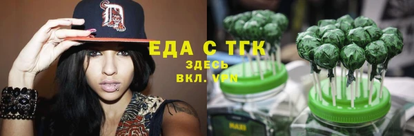 индика Инсар
