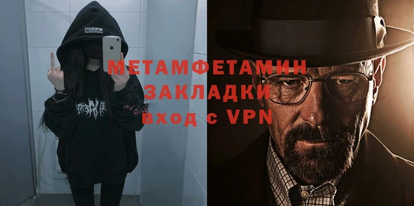 индика Инсар