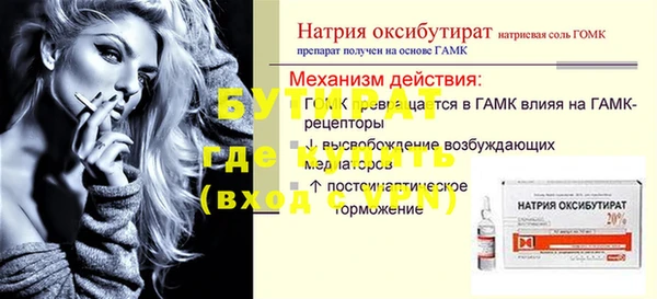 индика Инсар